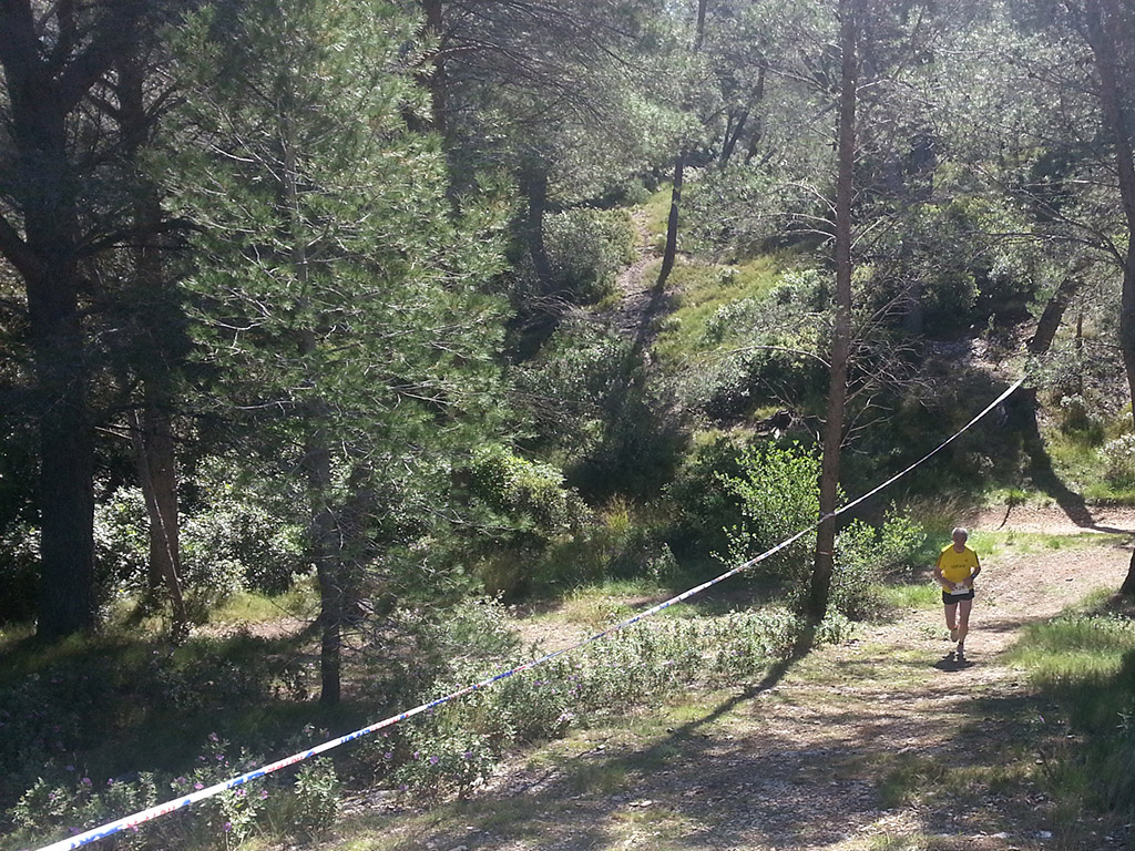 27042014 42 km marathon nature arles CL (4)