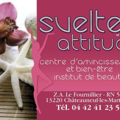 SVELTE ATTITUDE 2014